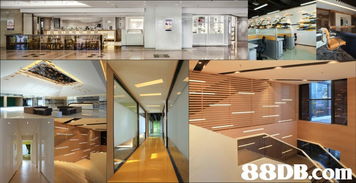 專業(yè)室內(nèi)設計、家私設計及工程服務 打造個性化生活空間